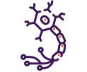 Amyotrophic Lateral Sclerosis (ALS)